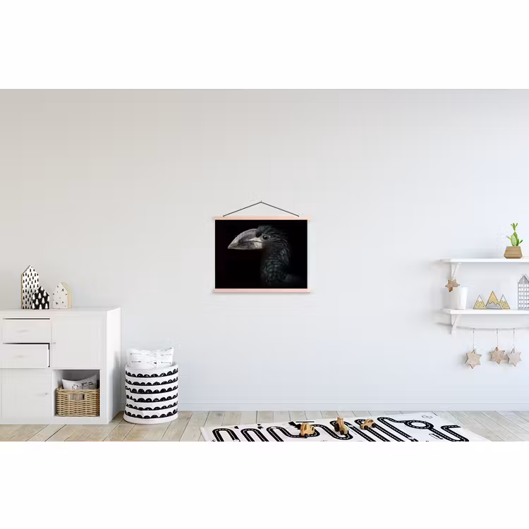 Schoolplaat - Vogel - Portret - Neushoornvogel - Zwart - Dieren — 3