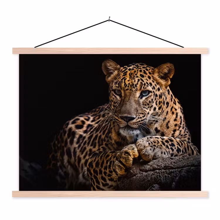 Schoolplaat - Wilde dieren - Panter - Portret - Zwart - Dieren — 1