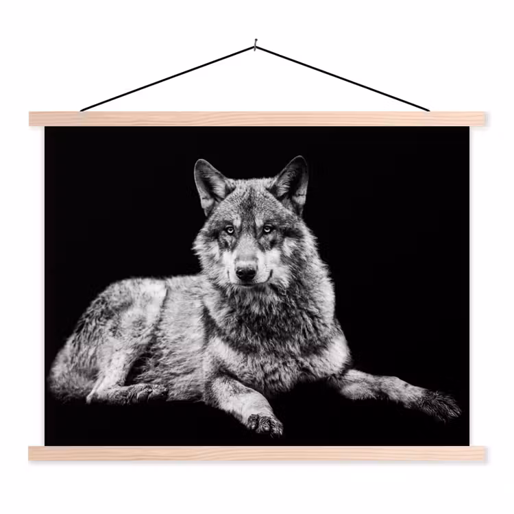 Schoolplaat - Wilde dieren - Wolf - Zwart - Wit — 1