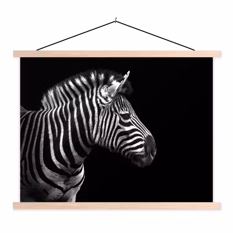 Schoolplaat - Zebra - Zwart - Wit - Portret - Dieren — 1