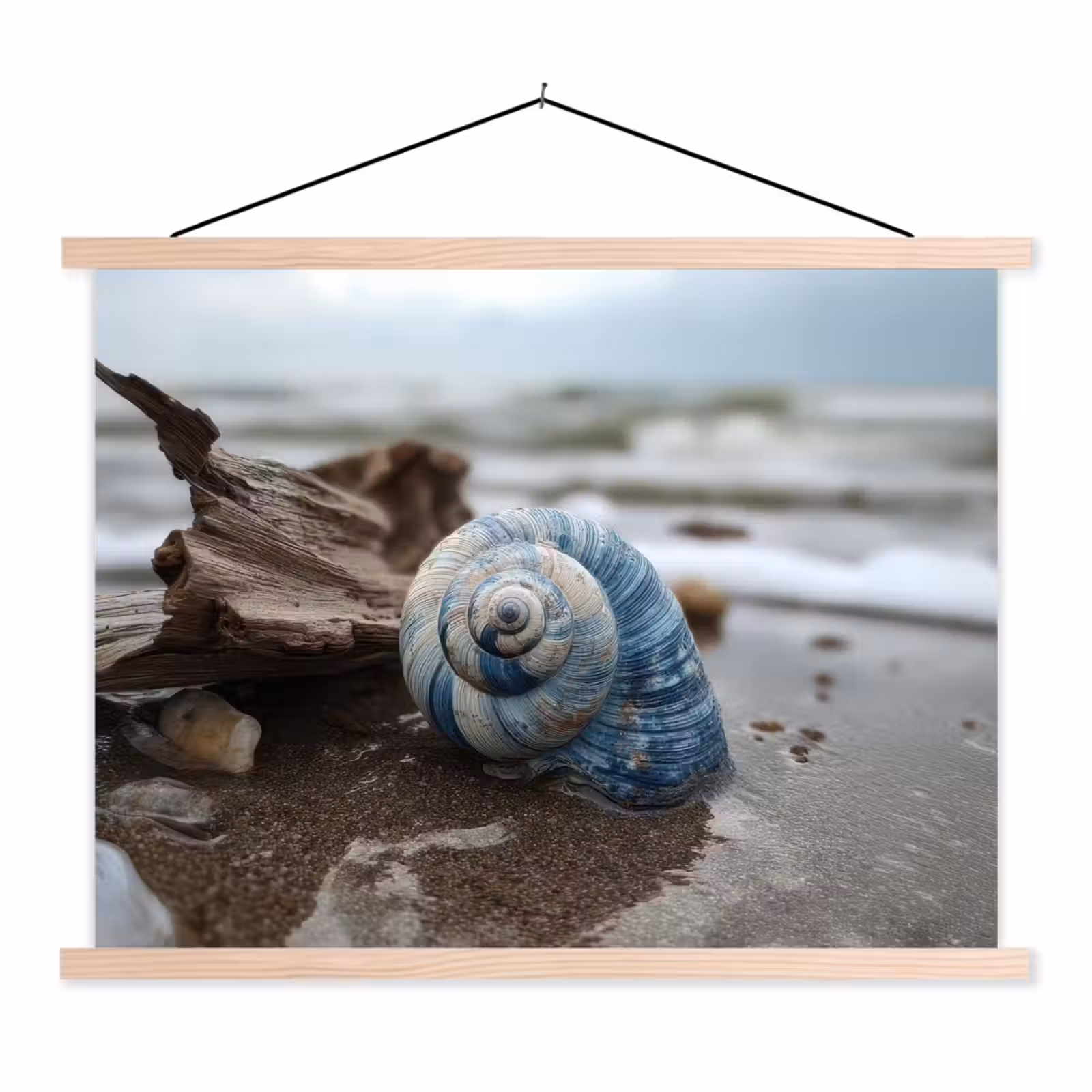Schoolplaat - Schelp - Strand - Blauw - Zee — 1