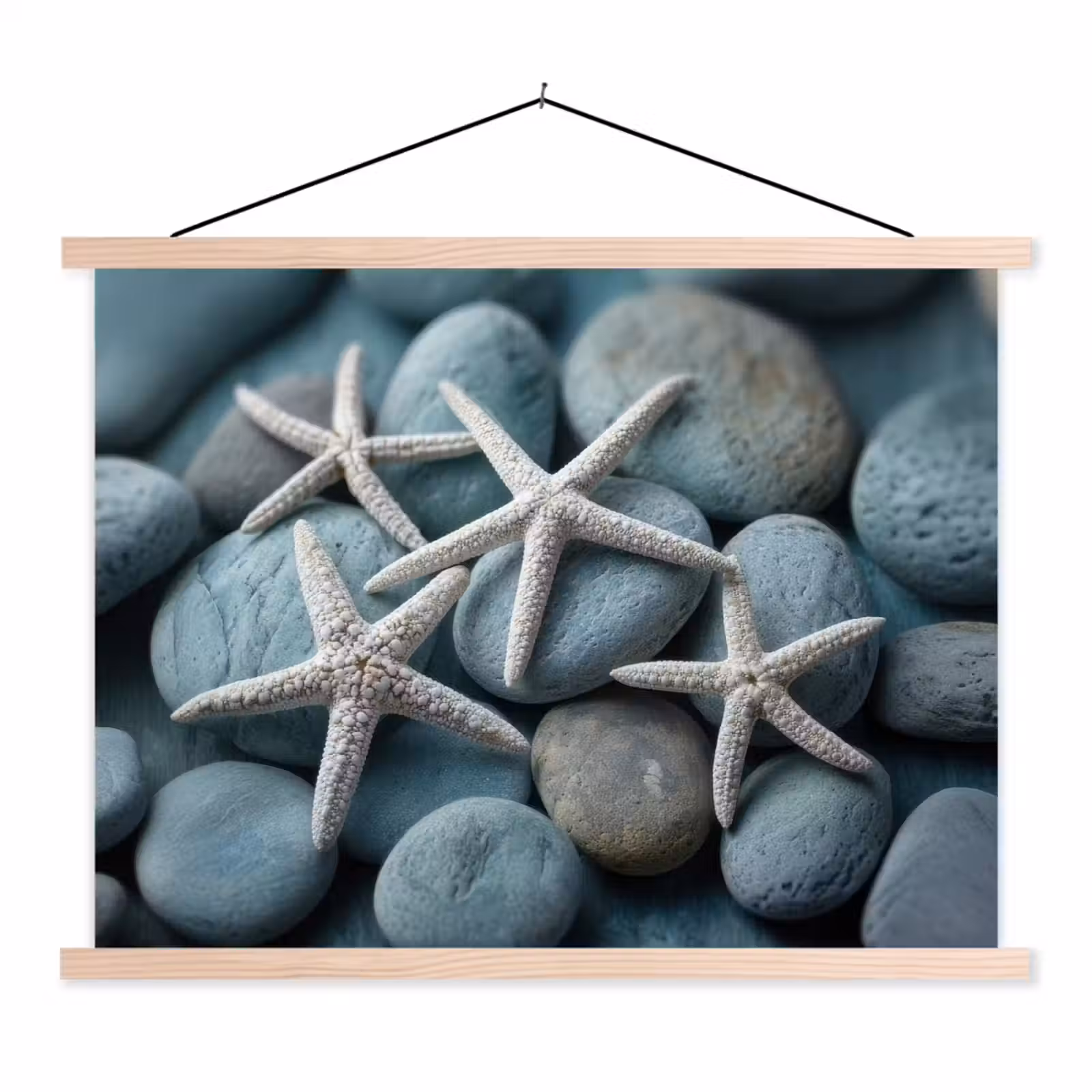Schoolplaat - Zeesterren - Stenen - Wit — 1
