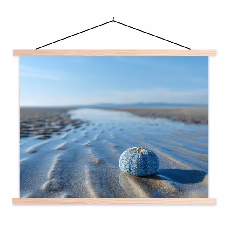 Schoolplaat - Strand - Schild - Water - Blauw — 1