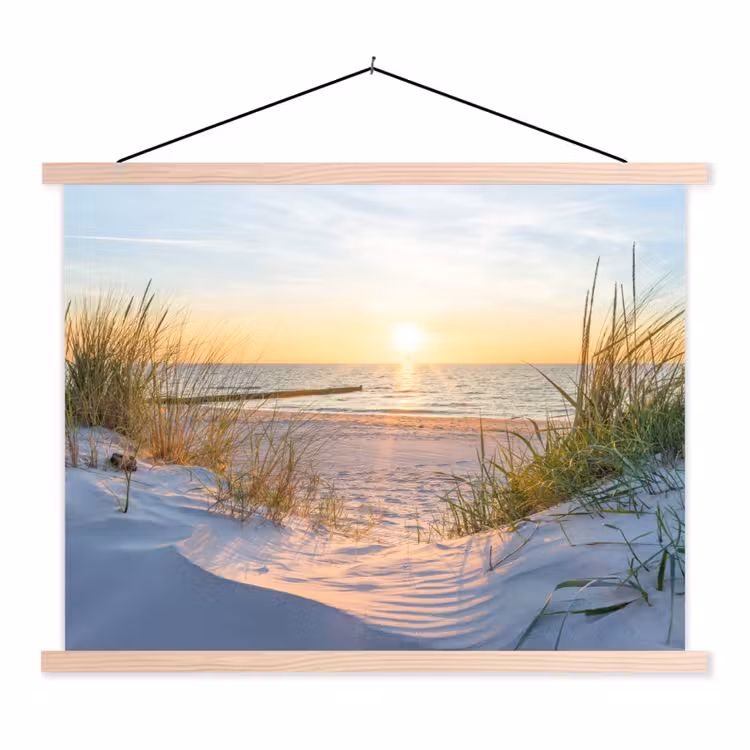 Schoolplaat - Strand - Zon - Duin - Gras - Zand - Horizon — 1