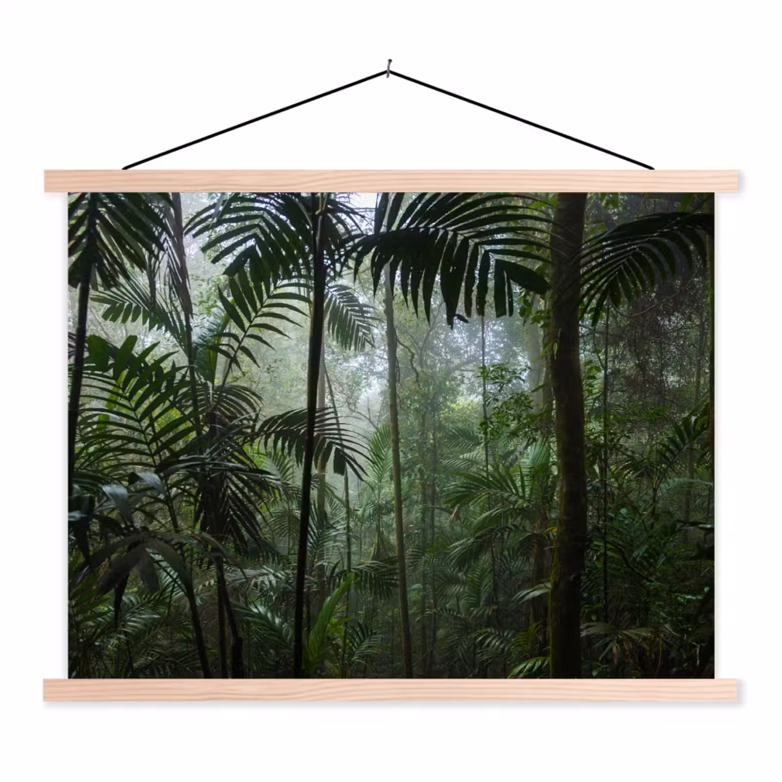 Schoolplaat - Regenwoud - Tropisch - Jungle - Bomen - Planten — 1