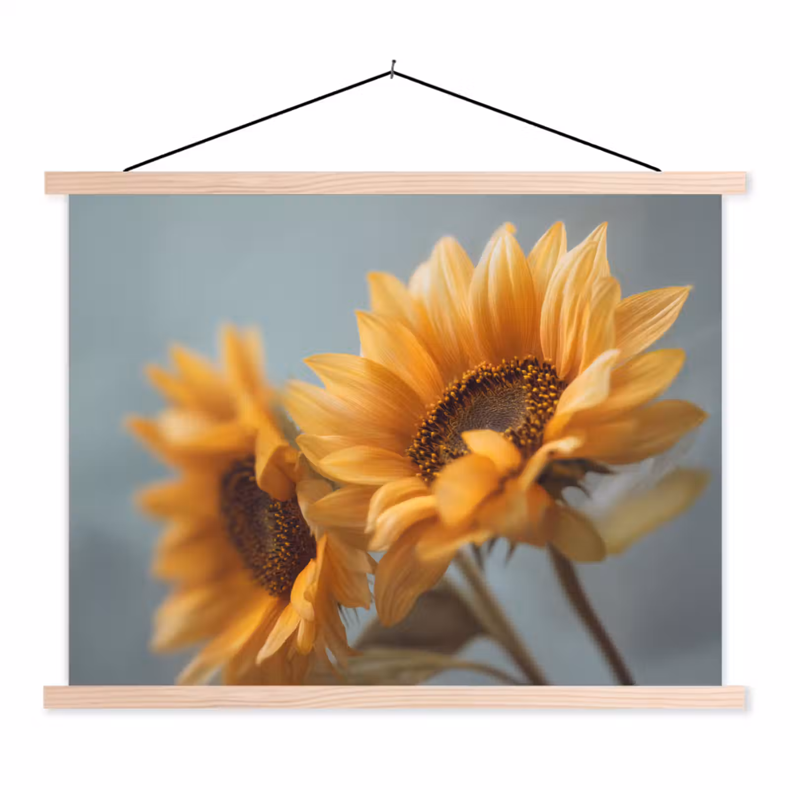Schoolplaat - Zonnebloemen - Geel - Wazig — 1