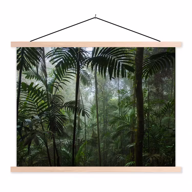 Schoolplaat - Regenwoud - Tropisch - Jungle - Bomen - Planten — 1