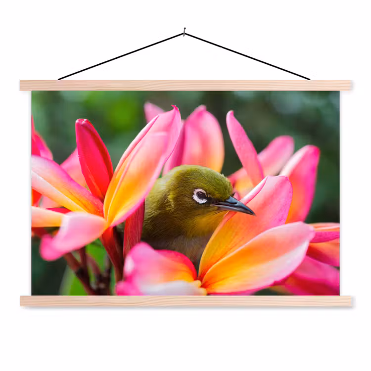 Schoolplaat - Tropische vogel tussen roze bloem — 1