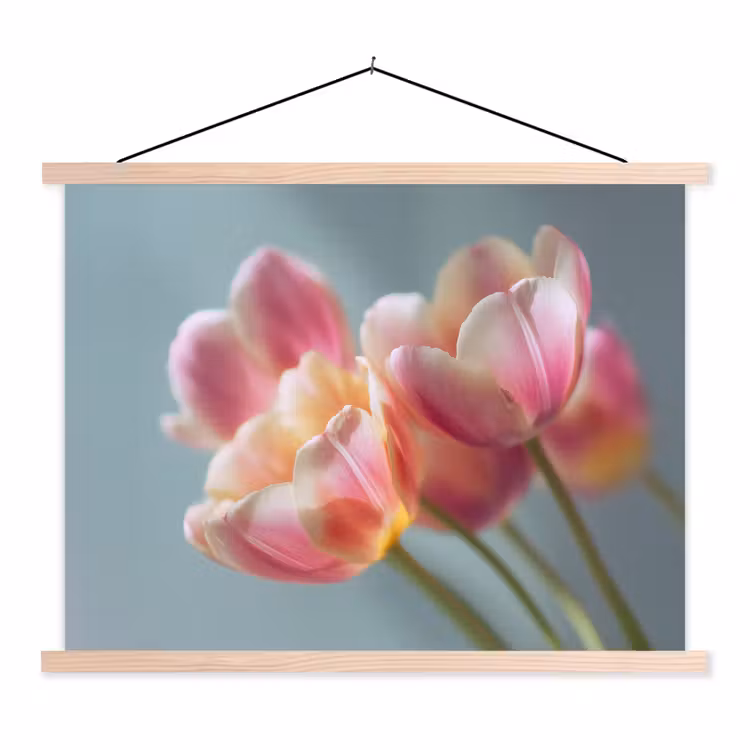 Schoolplaat - Tulpen - Roze - Stelen — 1
