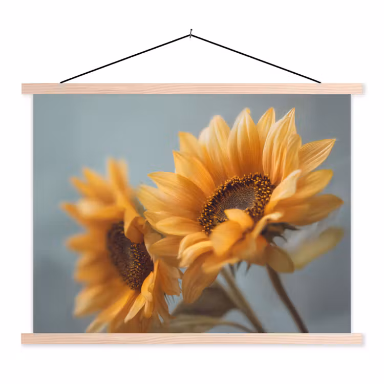 Schoolplaat - Zonnebloemen - Geel - Wazig — 1