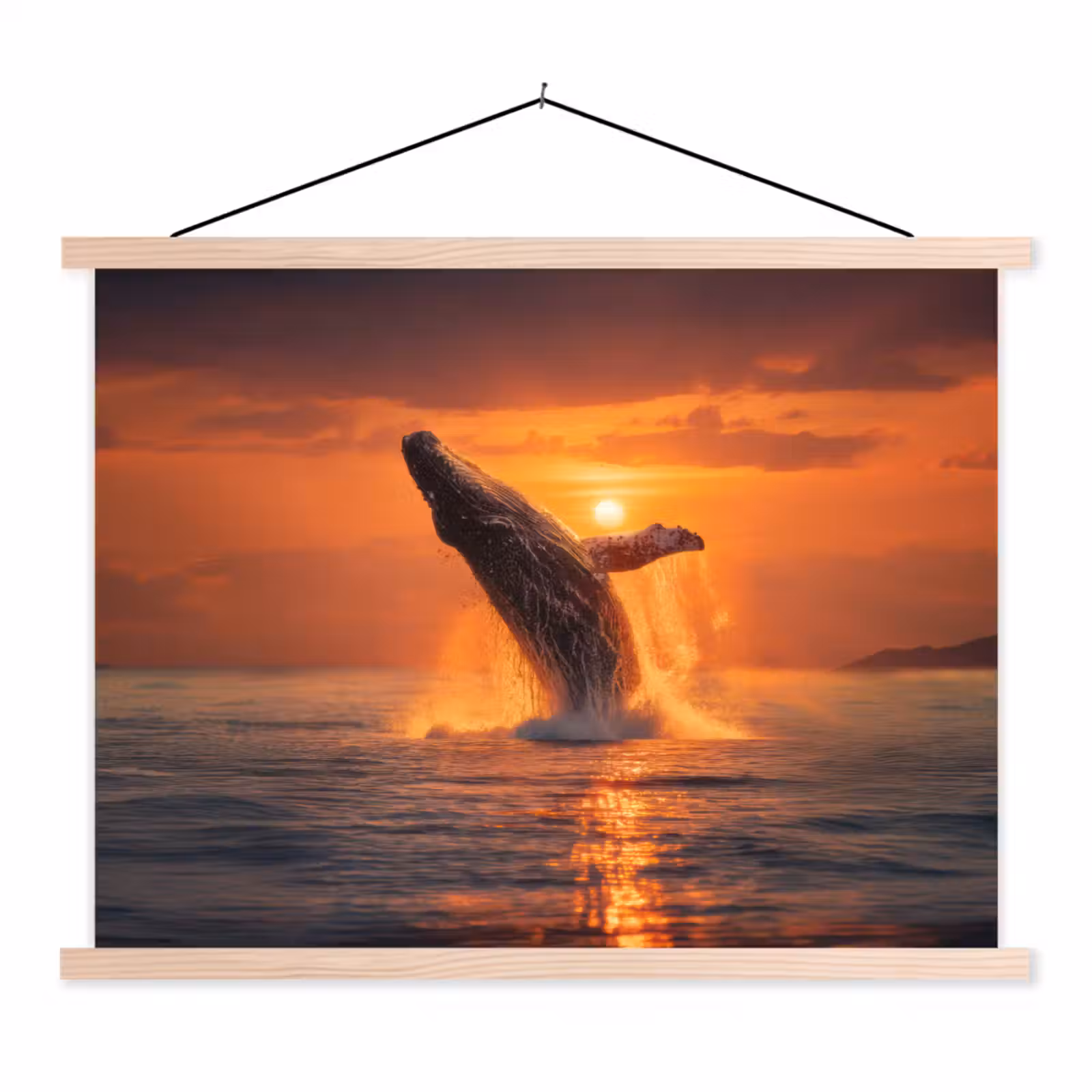 Schoolplaat - Walvis - Zon - Zee — 1