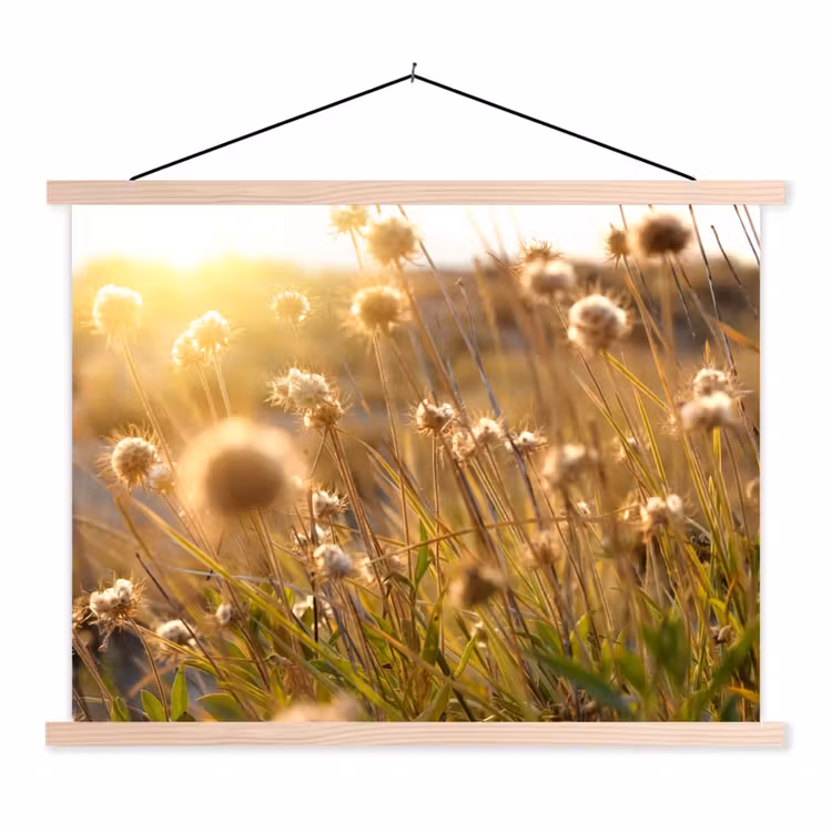 Schoolplaat - Planten - Natuur - Bloemen - Zon - Horizon — 1