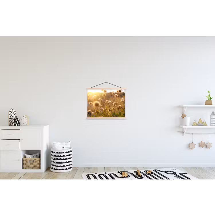 Schoolplaat - Planten - Natuur - Bloemen - Zon - Horizon — 3