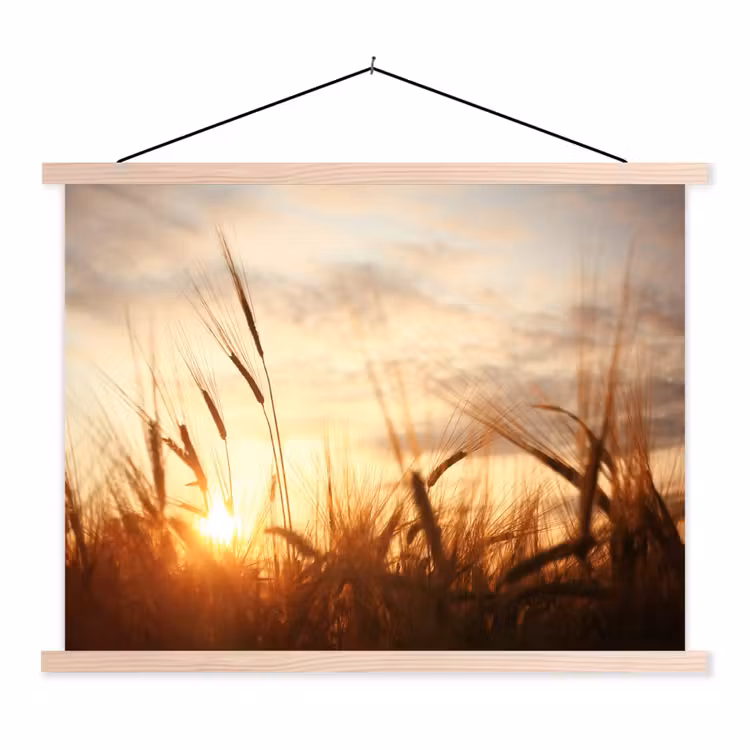Schoolplaat - Riet - Gras - Zonsondergang - Natuur - Horizon — 1
