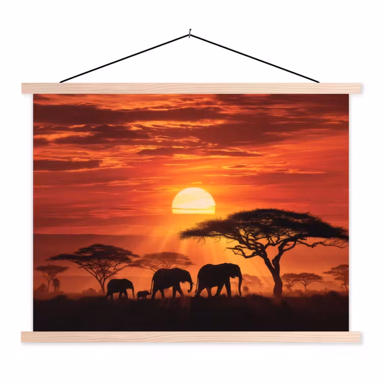 Schoolplaat - Savanne - Olifanten - Zonsondergang — 1