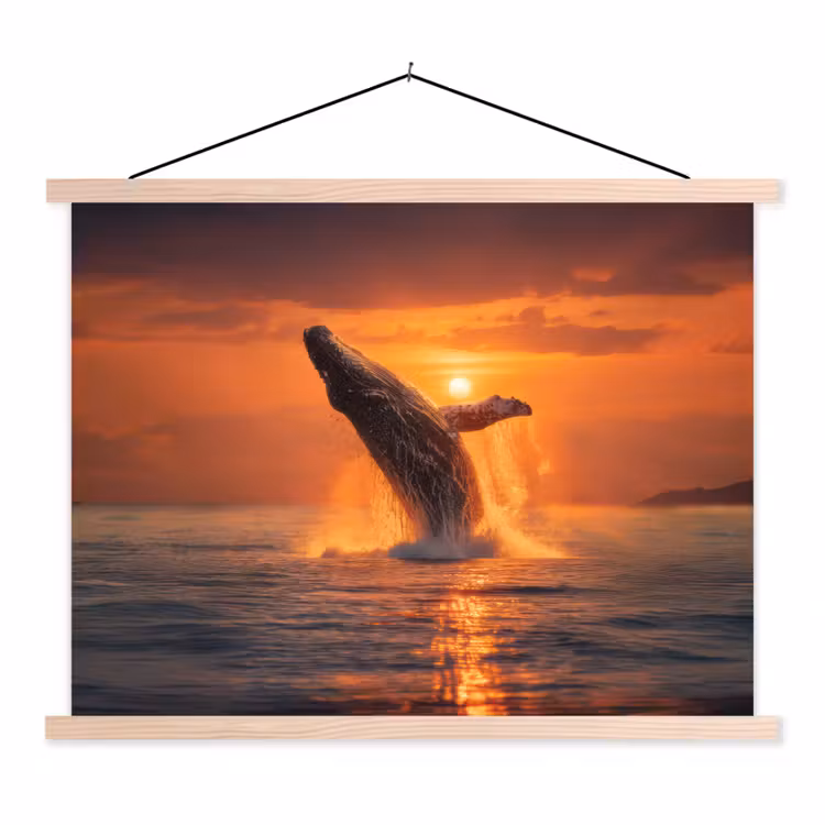 Schoolplaat - Walvis - Zon - Zee — 1