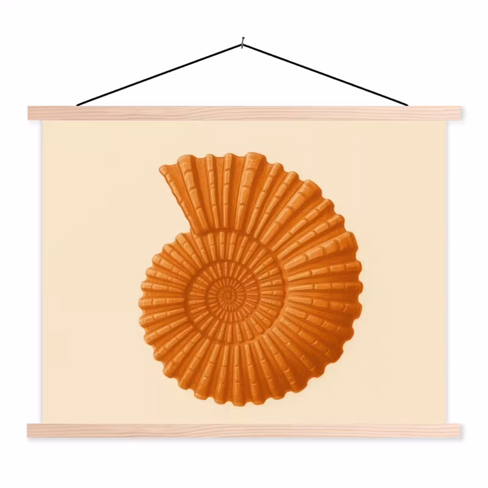 Schoolplaat - Schelp - Oranje - Ribbels — 1