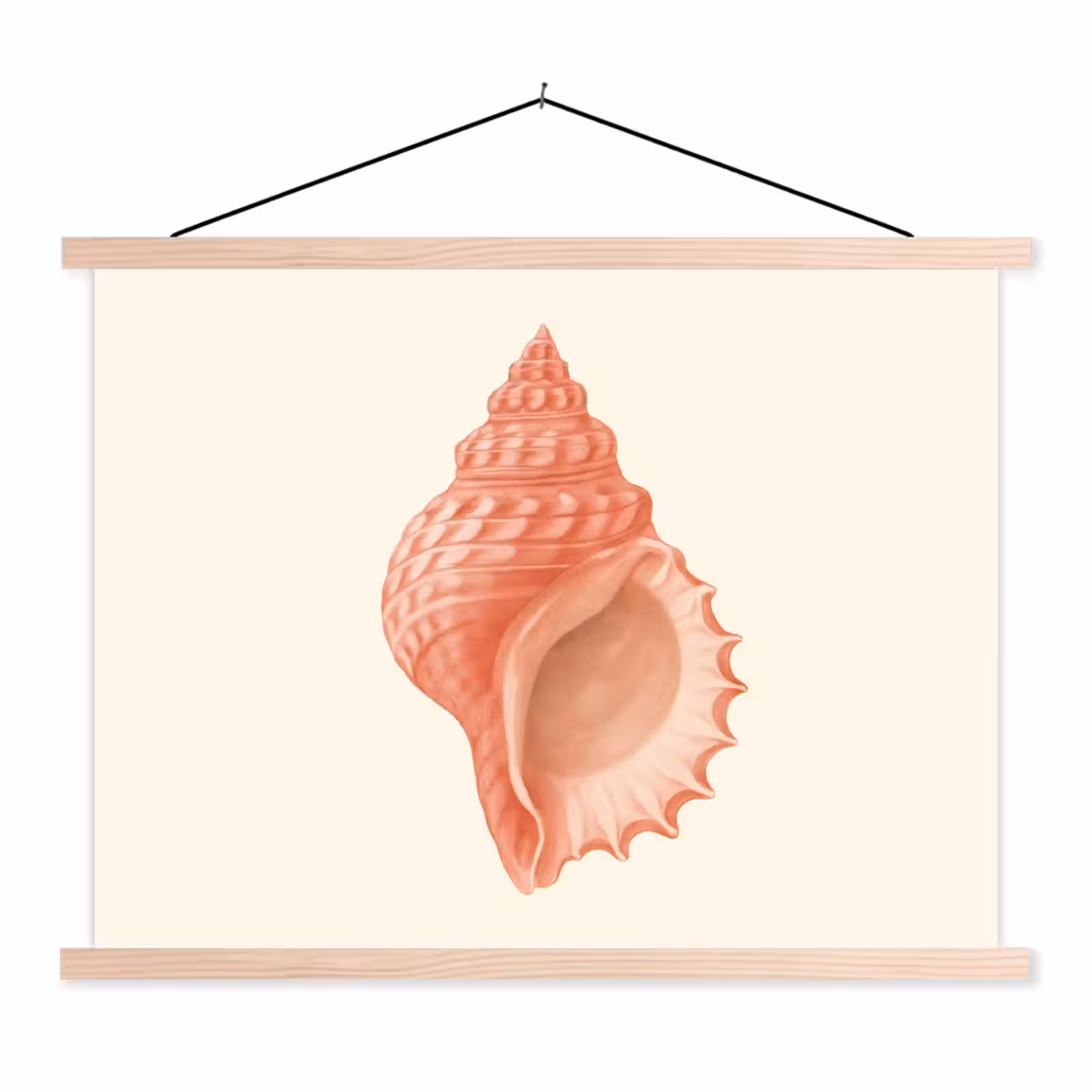 Schoolplaat - Schelp - Roze - Structuur — 1