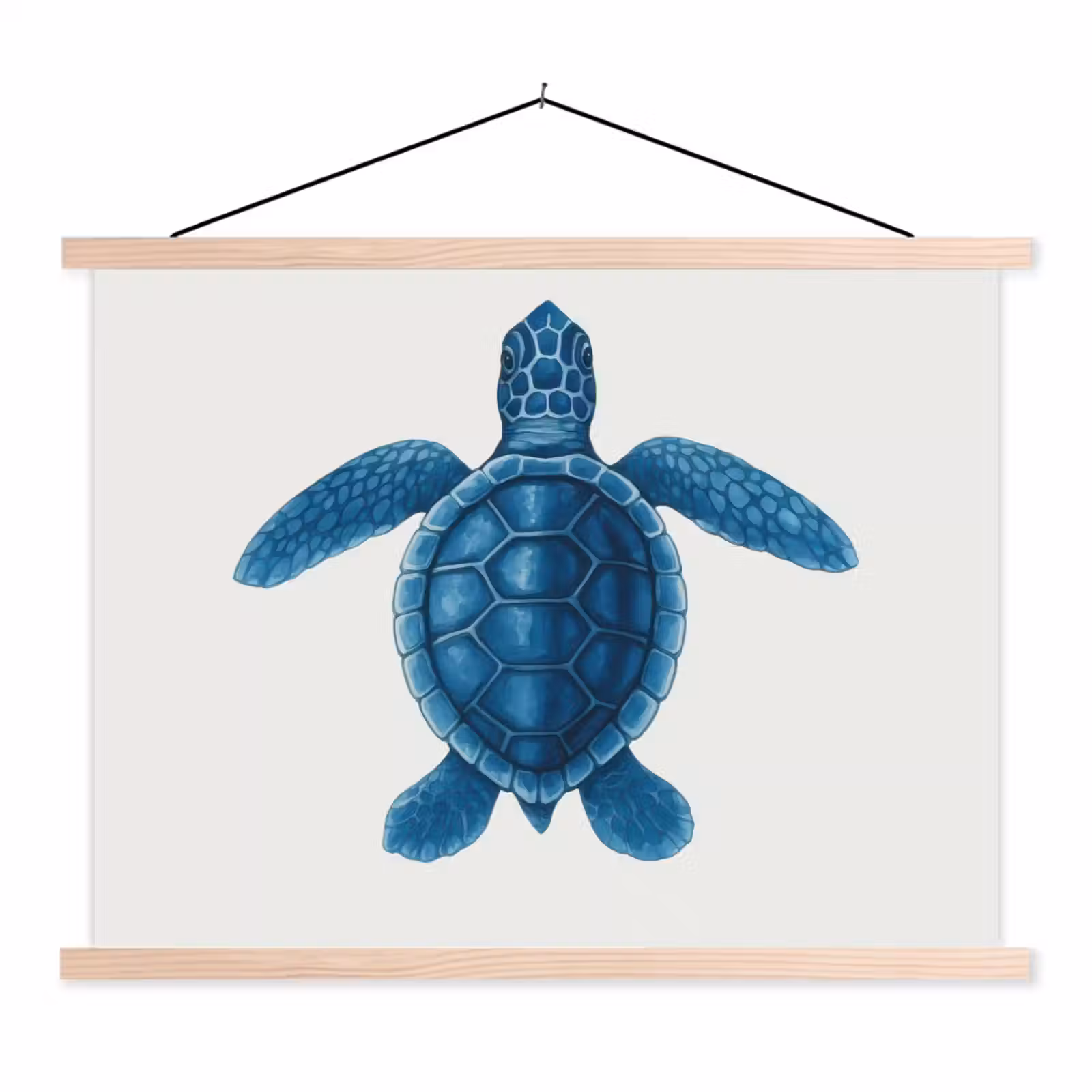 Schoolplaat - Schildpad - Blauw - Schild — 1