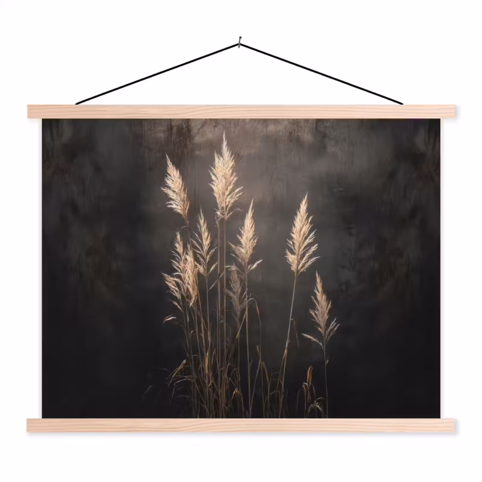 Schoolplaat - Siergras - Pluimen - Verlichting - Zwart — 1