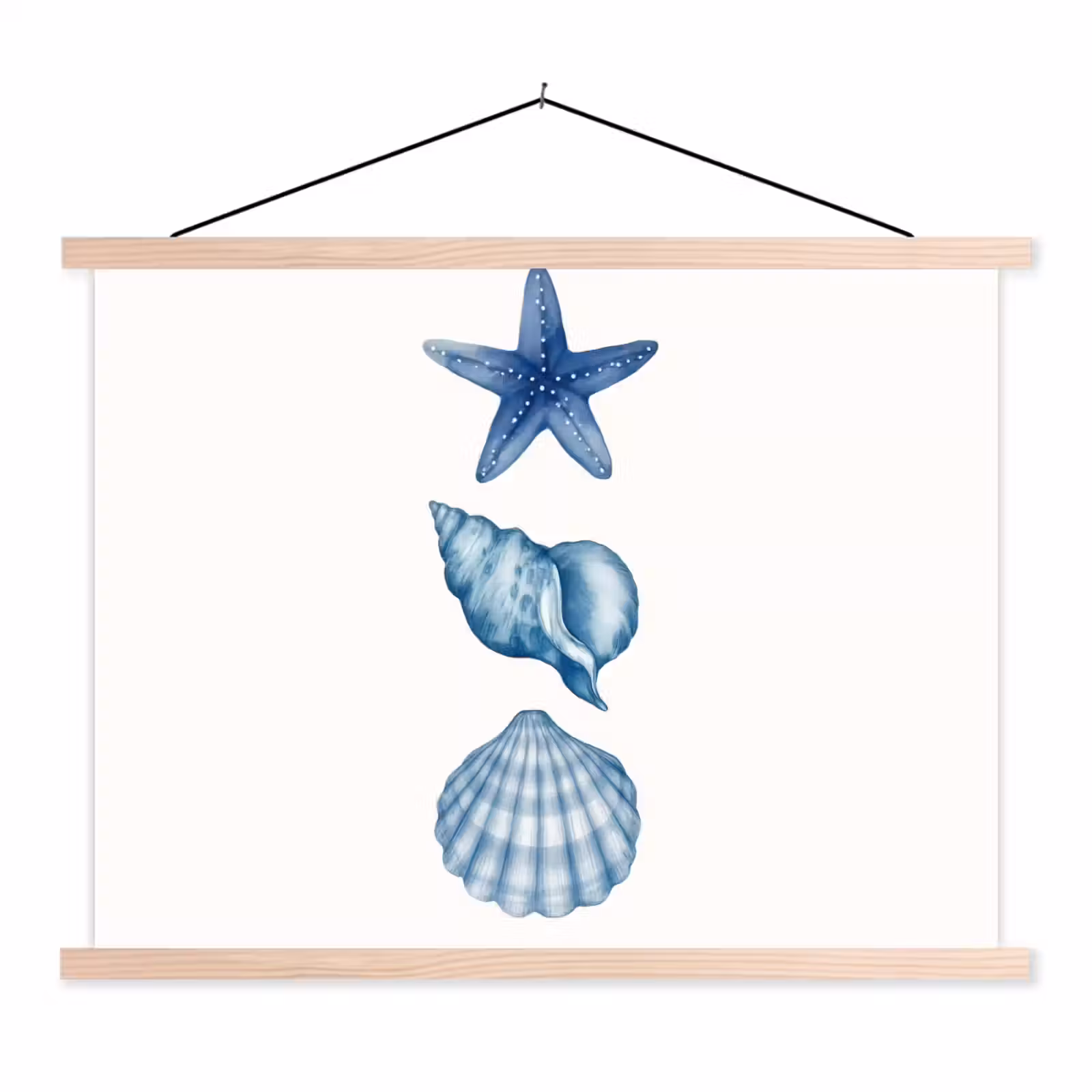 Schoolplaat - Zeester - Schelpen - Blauw — 1