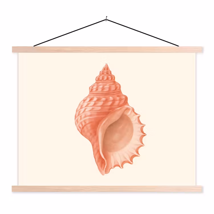 Schoolplaat - Schelp - Roze - Structuur — 1