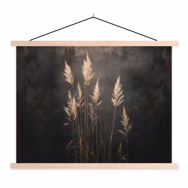 Schoolplaat - Siergras - Pluimen - Verlichting - Zwart — 1
