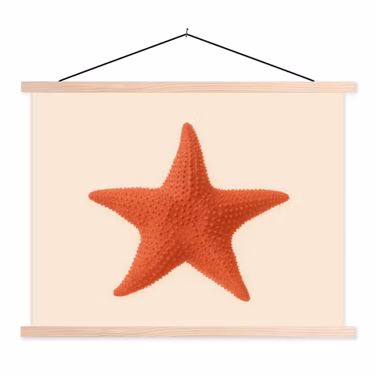 Schoolplaat - Zeester - Bobbels - Rood — 1
