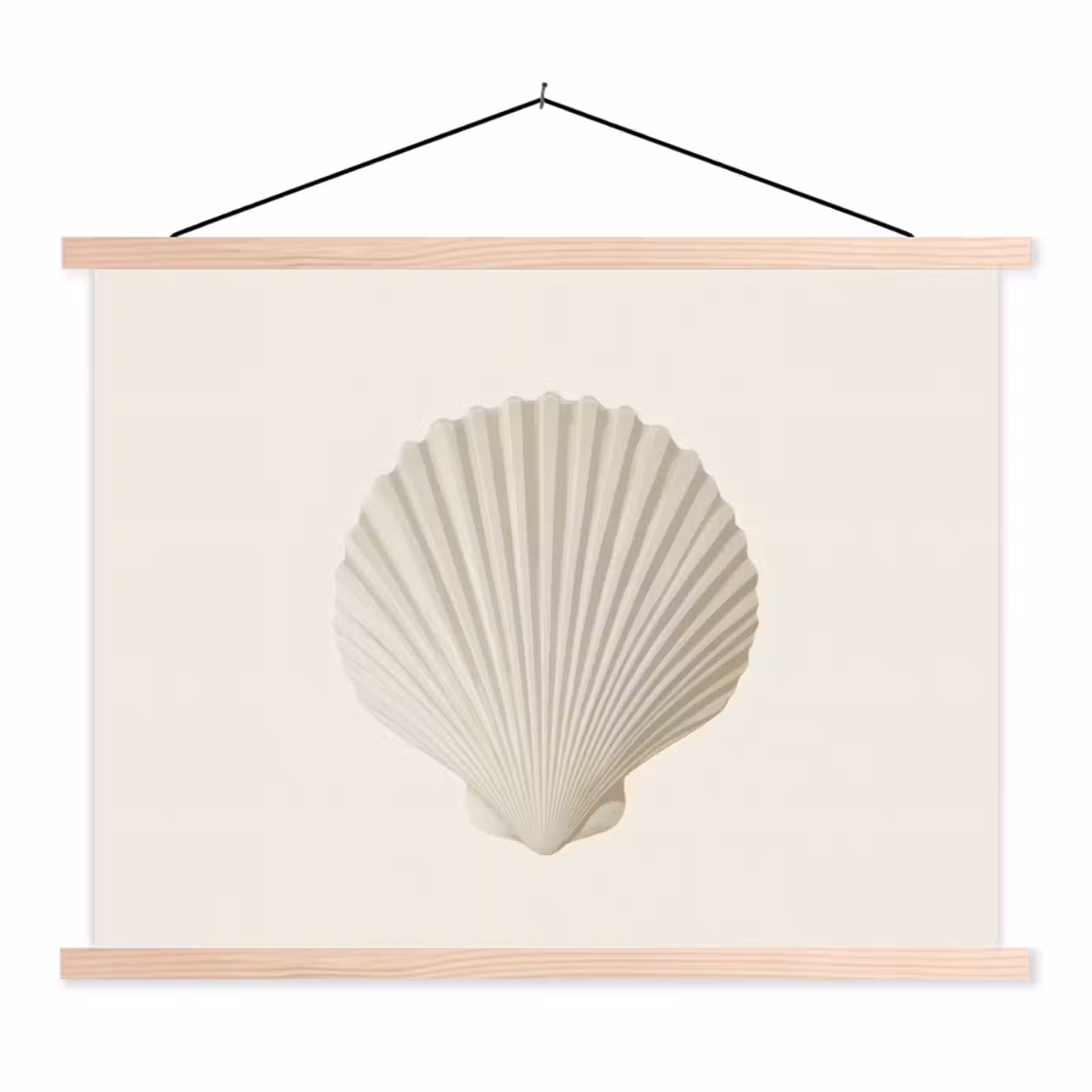 Schoolplaat - Schelp - Minimalistisch - Wit — 1
