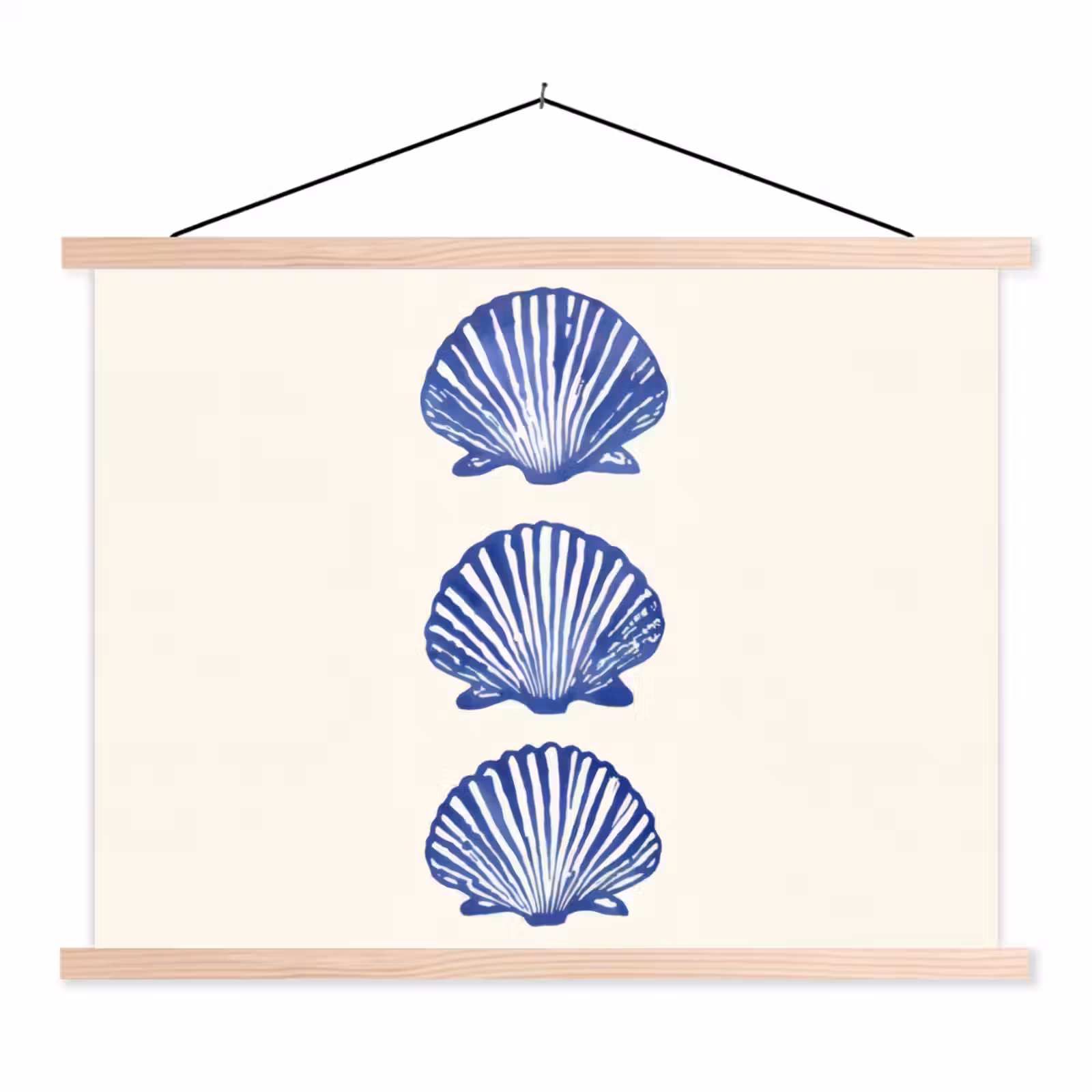 Schoolplaat - Schelpen - Blauw - Patroon — 1