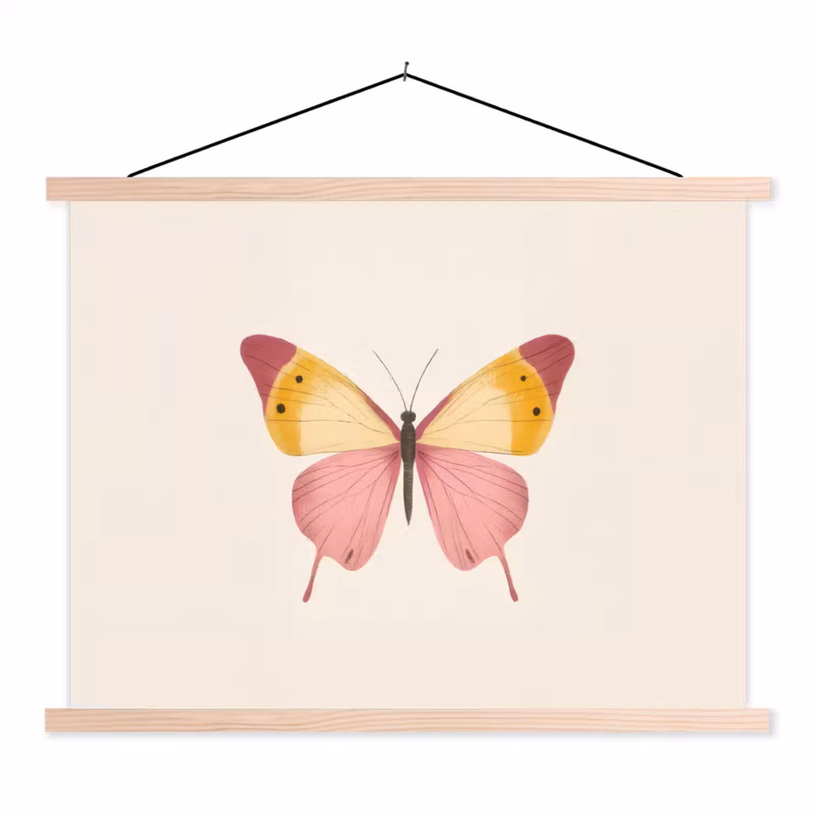 Schoolplaat - Vlinder - Illustratie - Roze — 1