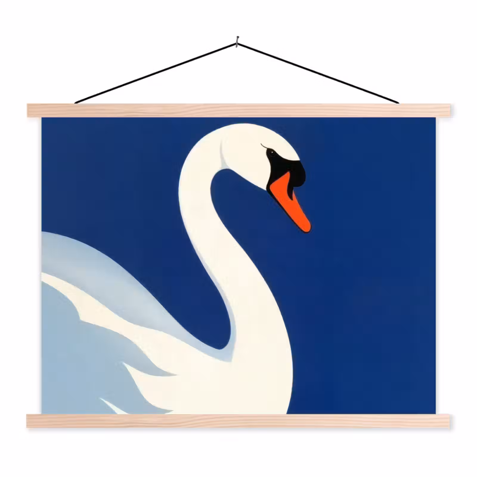 Schoolplaat - Zwaan - Wit - Snavel - Illustratie — 1