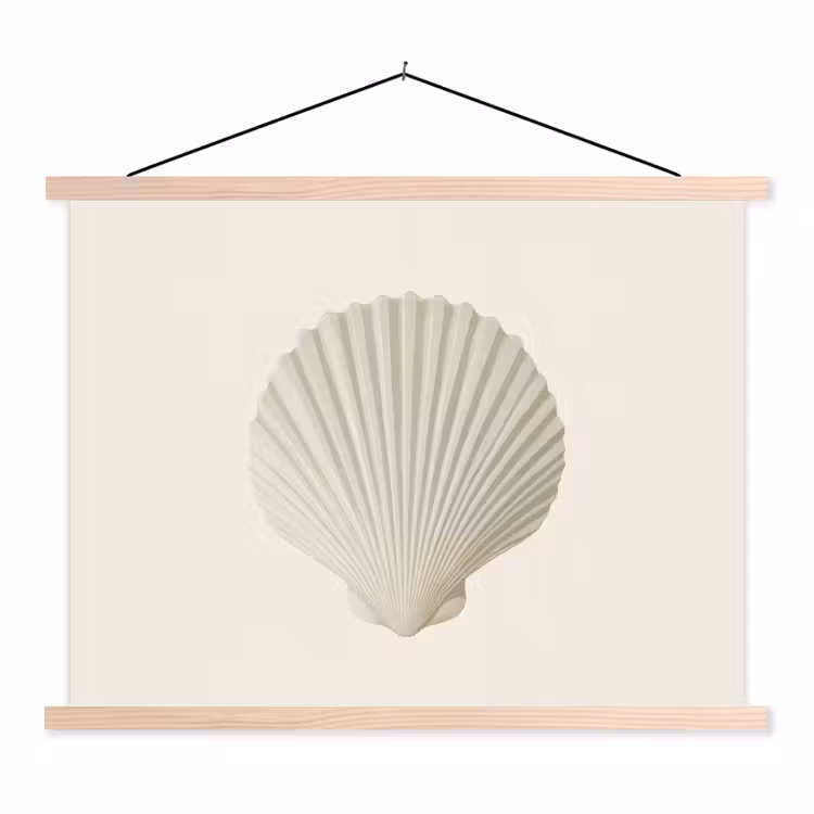 Schoolplaat - Schelp - Minimalistisch - Wit — 1