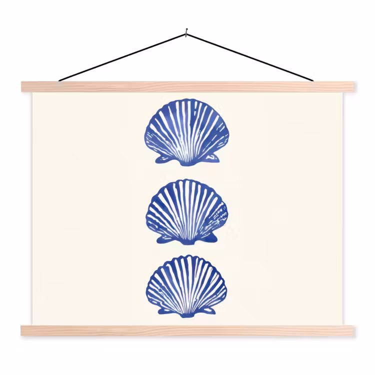 Schoolplaat - Schelpen - Blauw - Patroon — 1