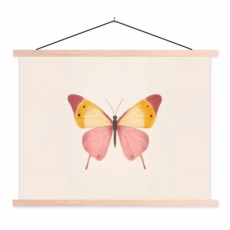 Schoolplaat - Vlinder - Illustratie - Roze — 1