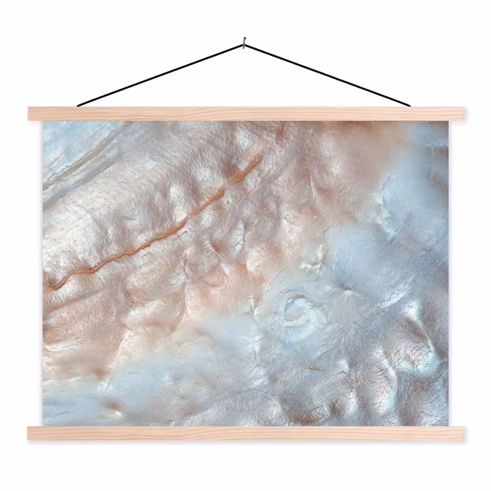 Schoolplaat - Schelpen - Abstract - Natuur — 1