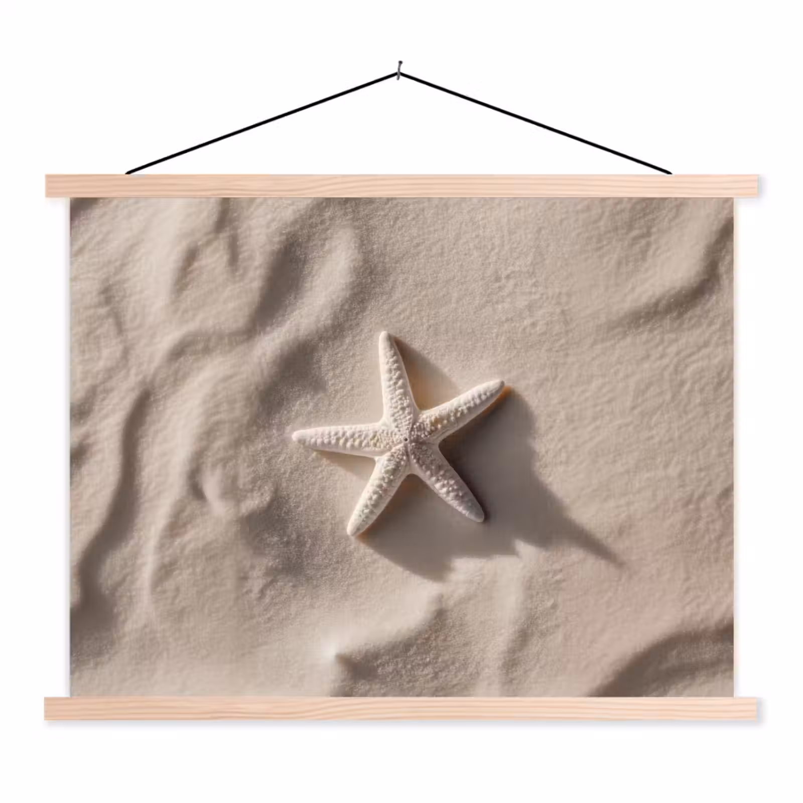 Schoolplaat - Strand - Zeester - Zand - Beige — 1