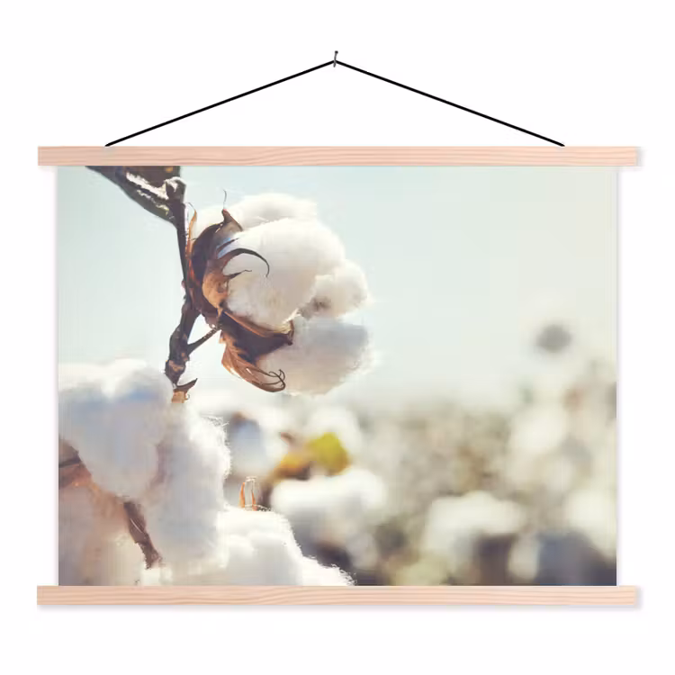 Schoolplaat - Planten - Bloem - Tak - Natuur — 1