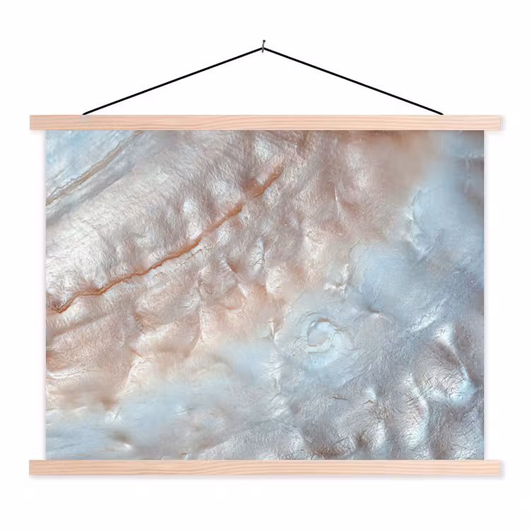 Schoolplaat - Schelpen - Abstract - Natuur — 1