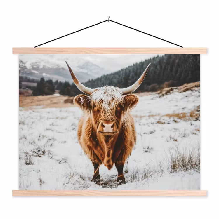 Schoolplaat - Schotse Hooglander - Sneeuw - Winter - Dieren — 1