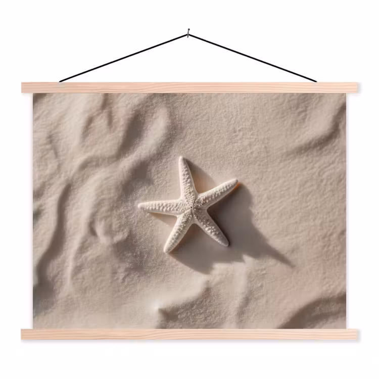 Schoolplaat - Strand - Zeester - Zand - Beige — 1