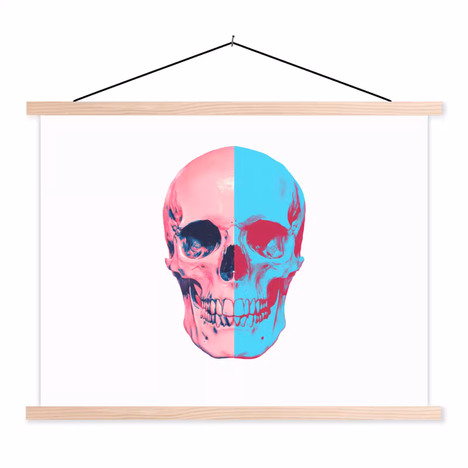 Schoolplaat - Schedel - Grafisch - Roze - Verdeeld — 1