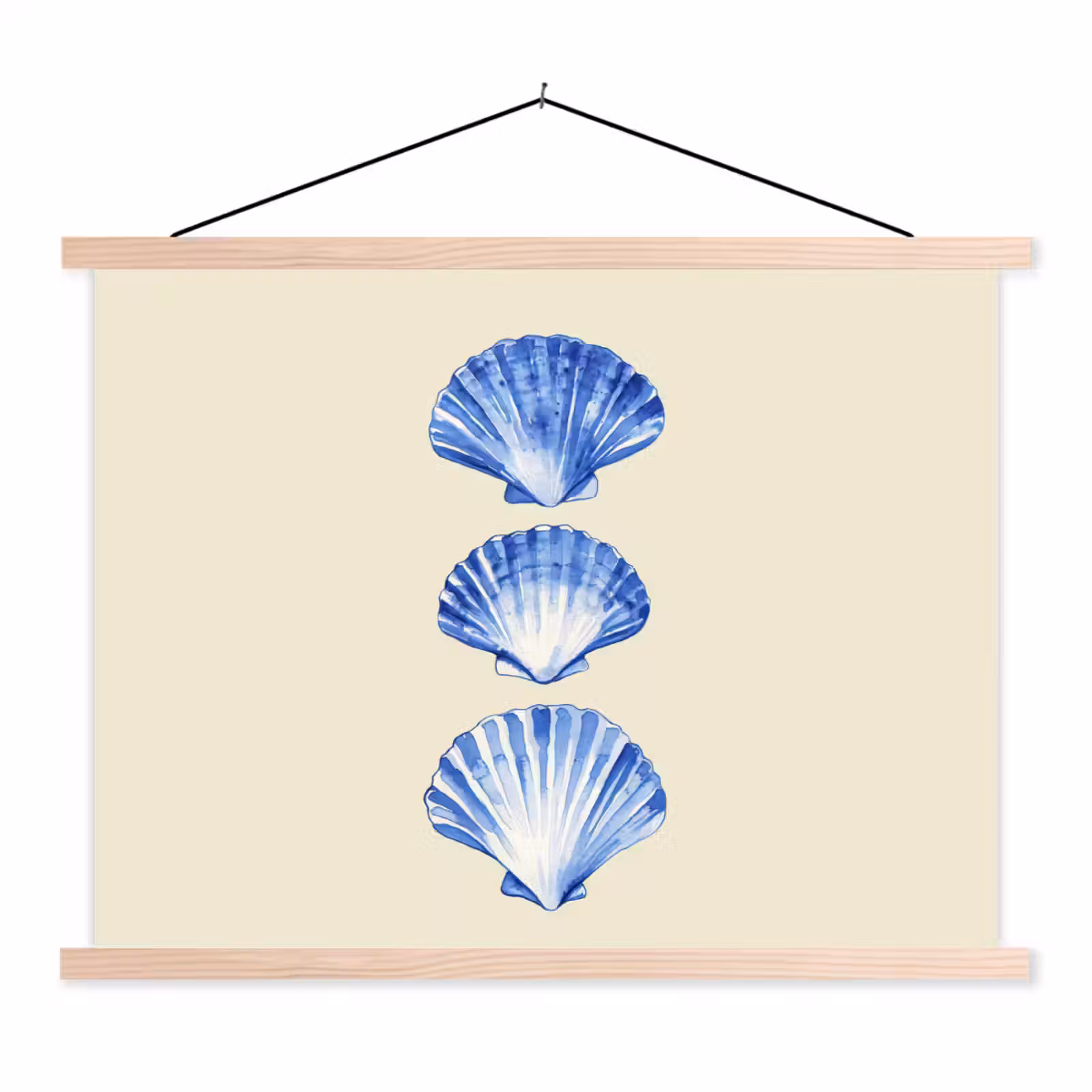 Schoolplaat - Schelpen - Blauw - Beige — 1