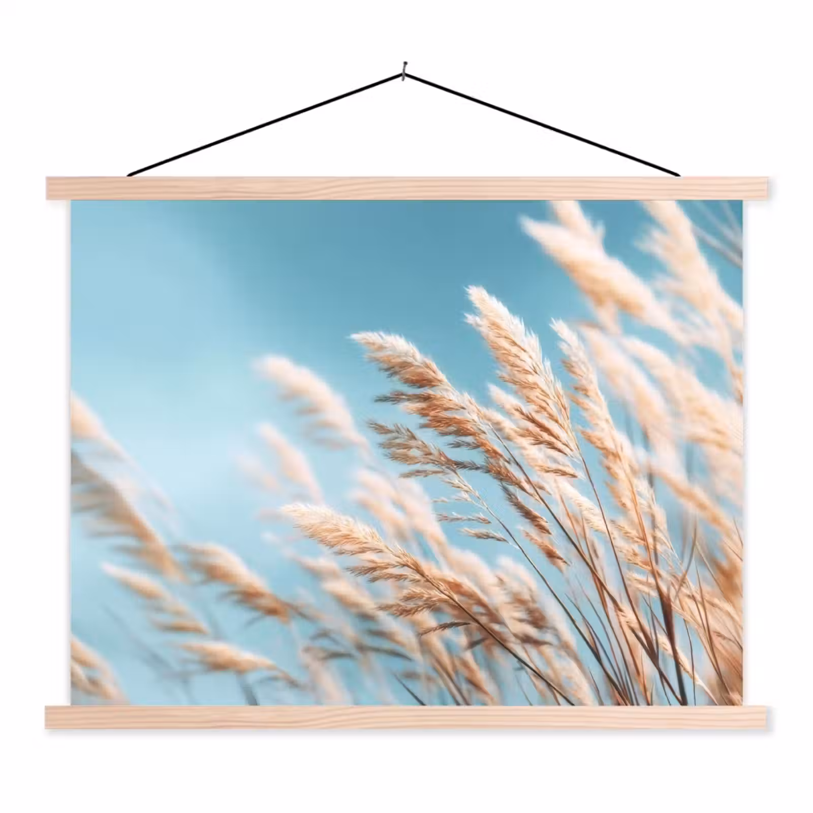 Schoolplaat - Siergras - Wind - Lichtbruin — 1