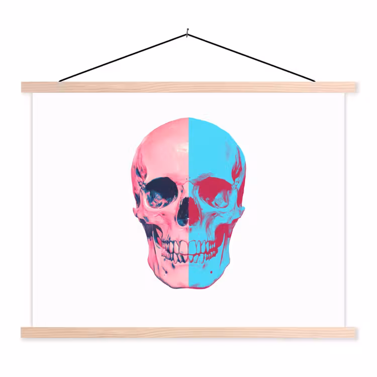 Schoolplaat - Schedel - Grafisch - Roze - Verdeeld — 1