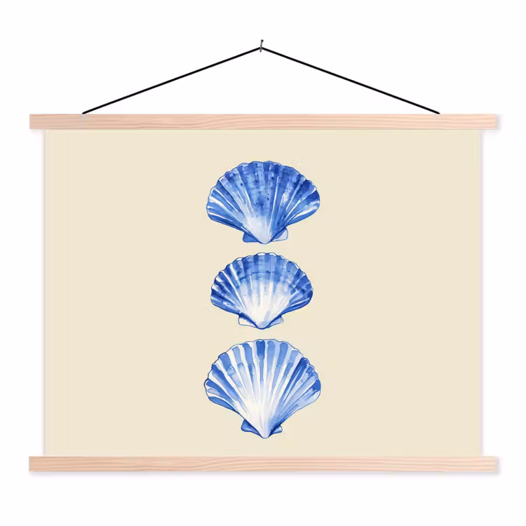 Schoolplaat - Schelpen - Blauw - Beige — 1