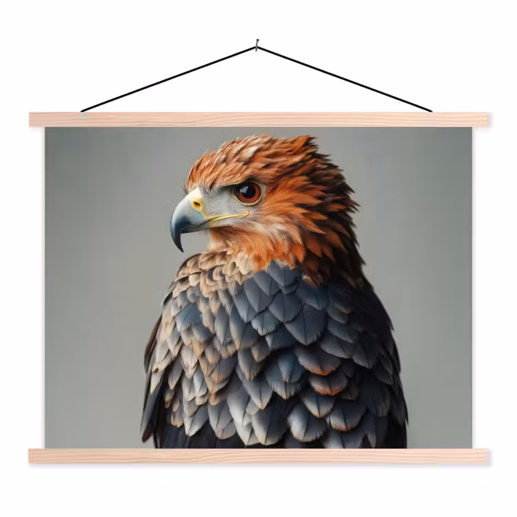 Schoolplaat - Vogel - Realistisch - Veren - Bruin — 1
