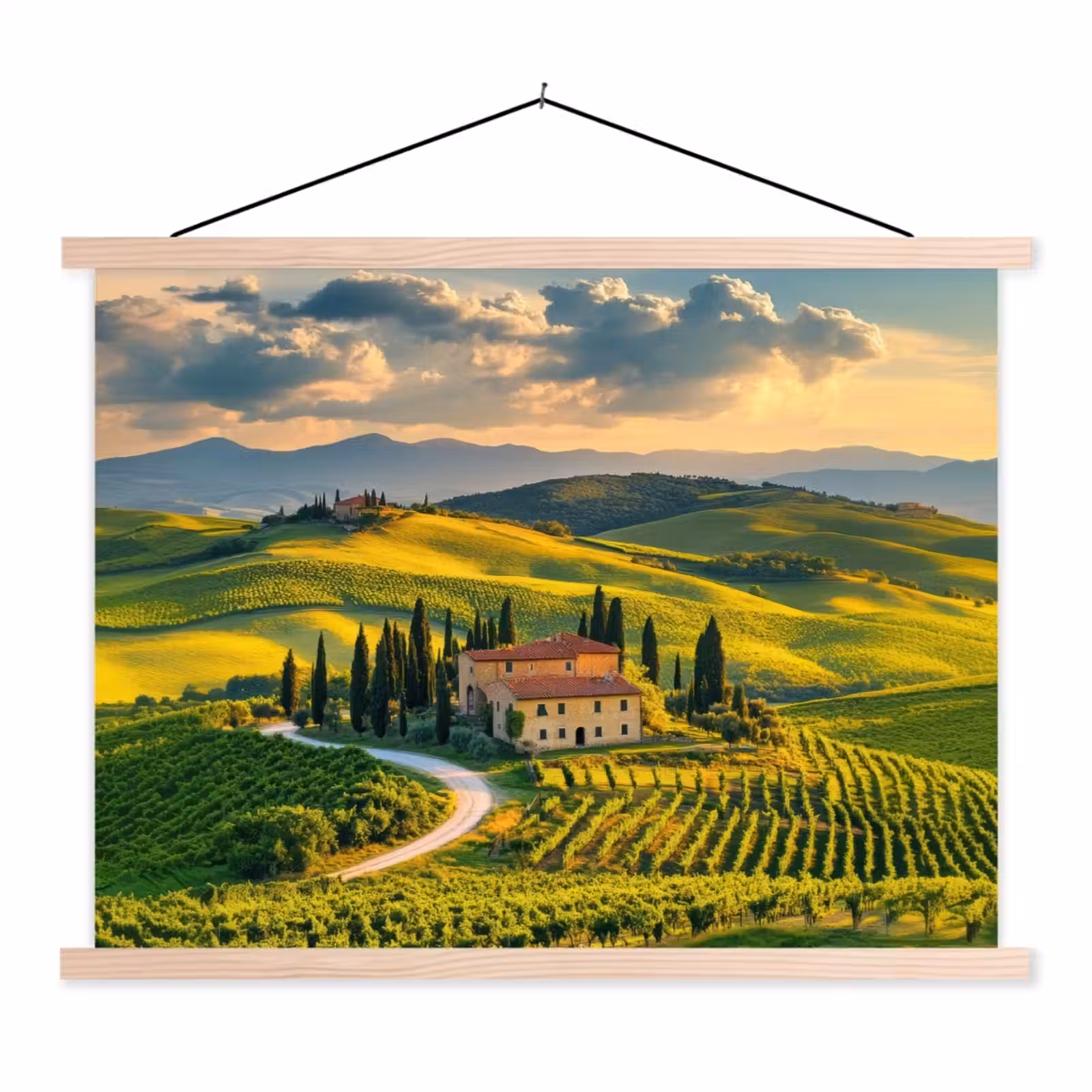 Schoolplaat - Toscane - Landschap - Wijngaarden — 1