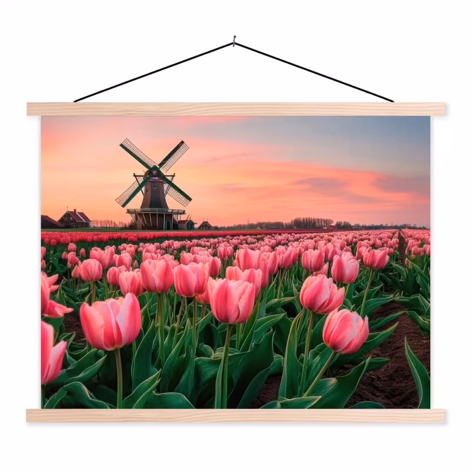 Schoolplaat - Tulpen - Molen - Nederland — 1
