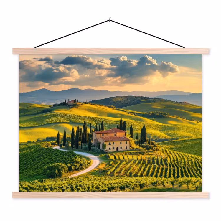 Schoolplaat - Toscane - Landschap - Wijngaarden — 1